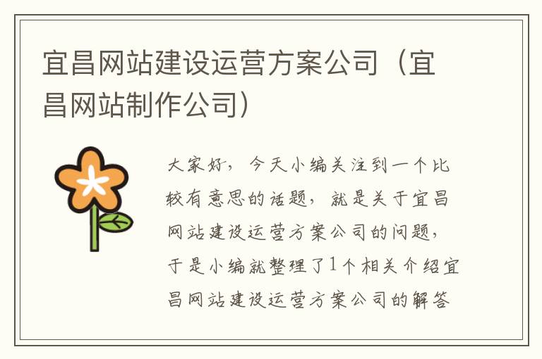 宜昌网站建设运营方案公司（宜昌网站制作公司）