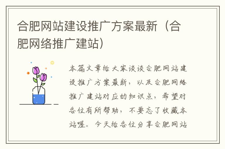 合肥网站建设推广方案最新（合肥网络推广建站）