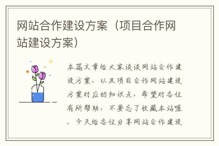 网站合作建设方案（项目合作网站建设方案）