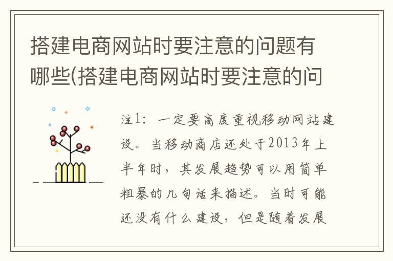 搭建电商网站时要注意的问题有哪些(搭建电商网站时要注意的问题有)