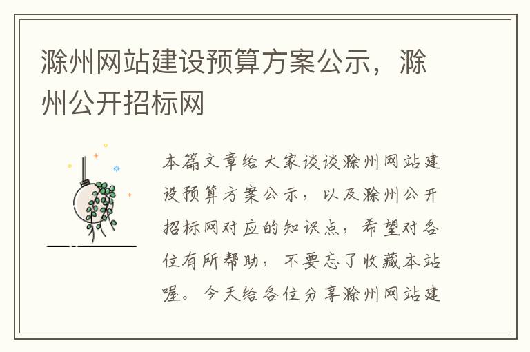 滁州网站建设预算方案公示，滁州公开招标网