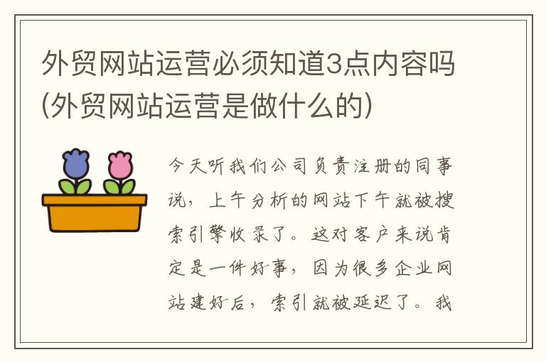 外贸网站运营必须知道3点内容吗(外贸网站运营是做什么的)