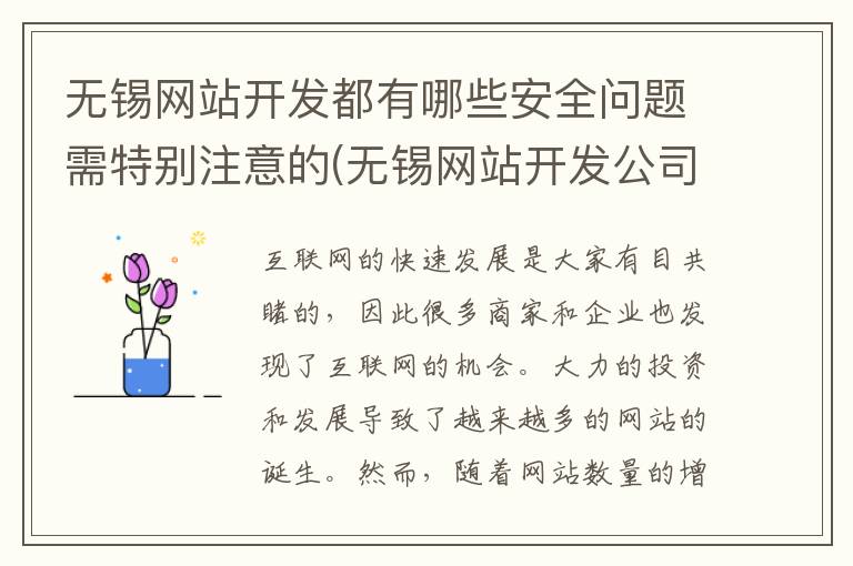 无锡网站开发都有哪些安全问题需特别注意的(无锡网站开发公司)