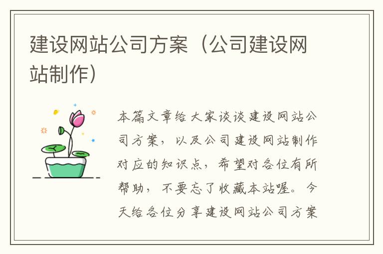 建设网站公司方案（公司建设网站制作）