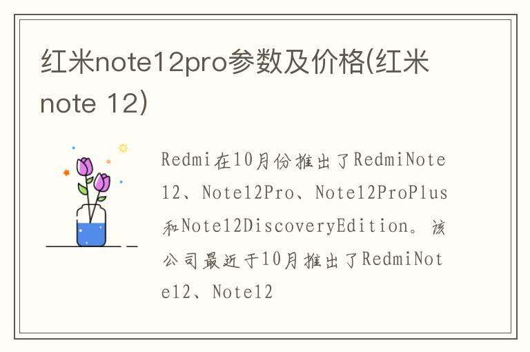 红米note12pro参数及价格(红米note 12)