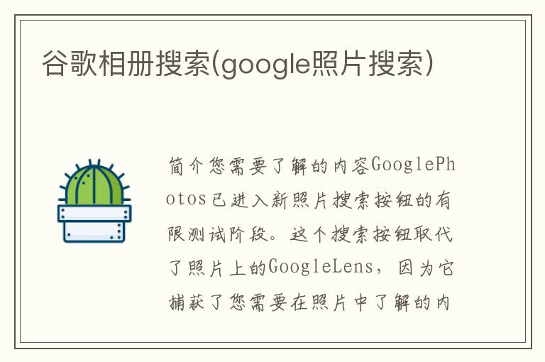 谷歌相册搜索(google照片搜索)