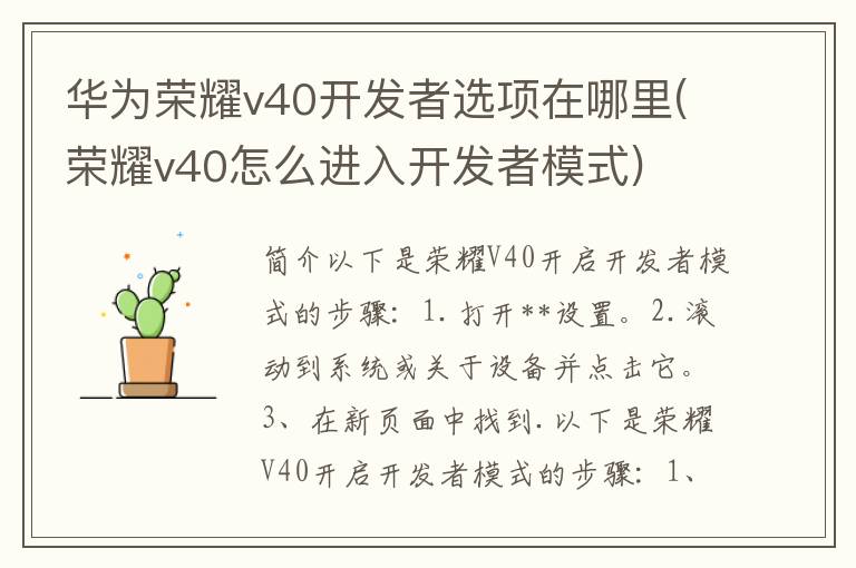 华为荣耀v40开发者选项在哪里(荣耀v40怎么进入开发者模式)