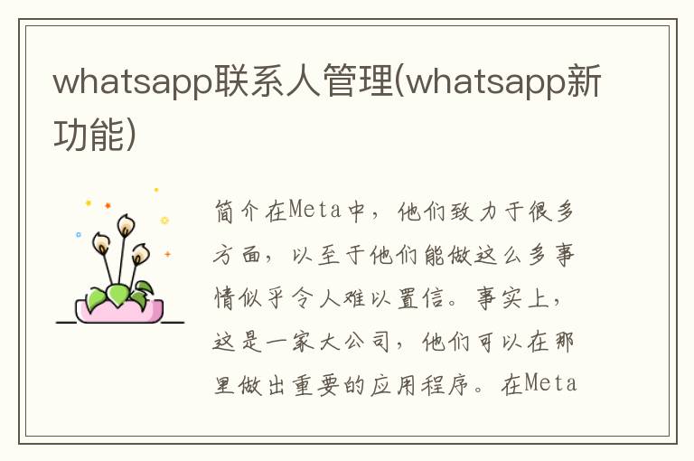 whatsapp联系人管理(whatsapp新功能)