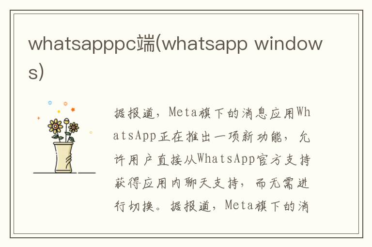 whatsapppc端(whatsapp windows)