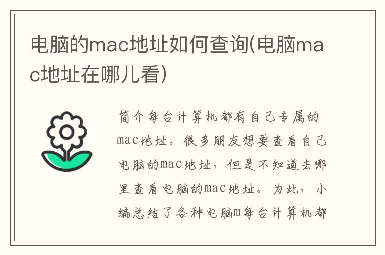 电脑的mac地址如何查询(电脑mac地址在哪儿看)