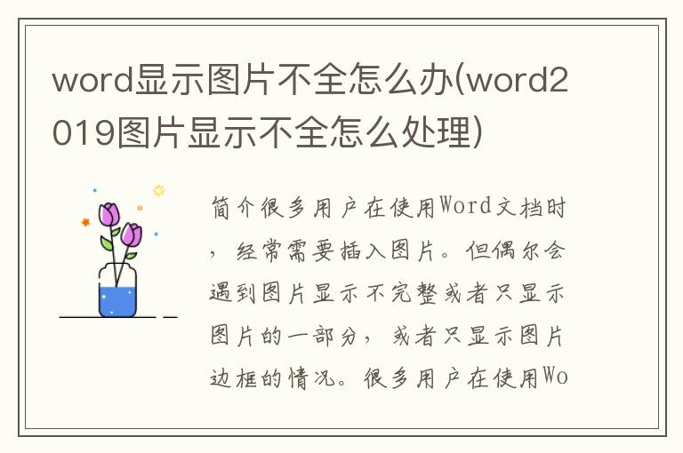 word显示图片不全怎么办(word2019图片显示不全怎么处理)