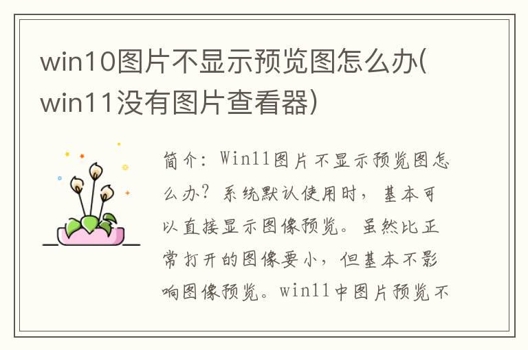 win10图片不显示预览图怎么办(win11没有图片查看器)