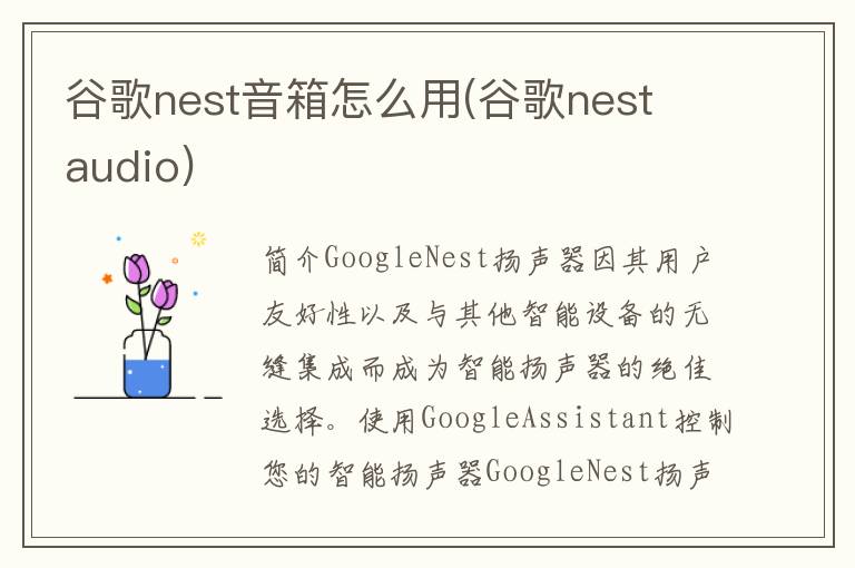 谷歌nest音箱怎么用(谷歌nest audio)