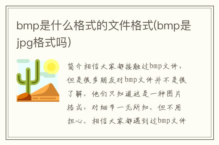 bmp是什么格式的文件格式(bmp是jpg格式吗)