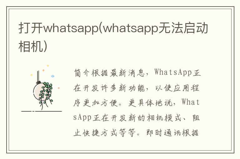 打开whatsapp(whatsapp无法启动相机)