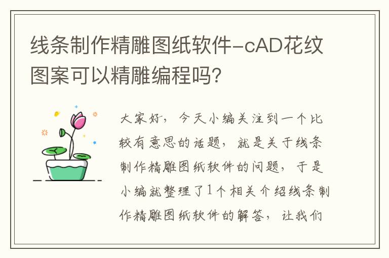 线条制作精雕图纸软件-cAD花纹图案可以精雕编程吗？