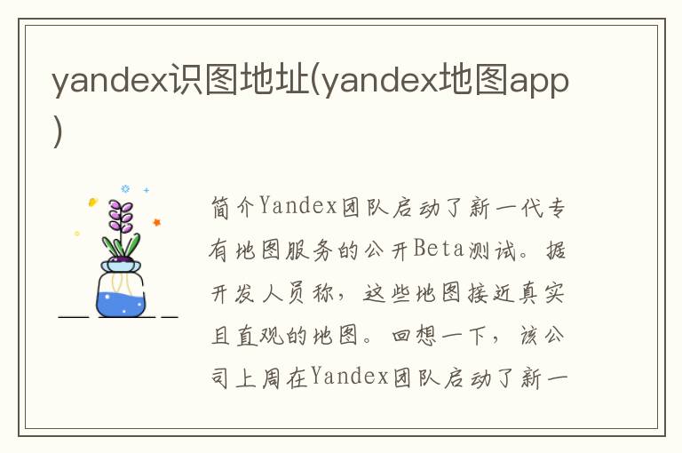 yandex识图地址(yandex地图app)