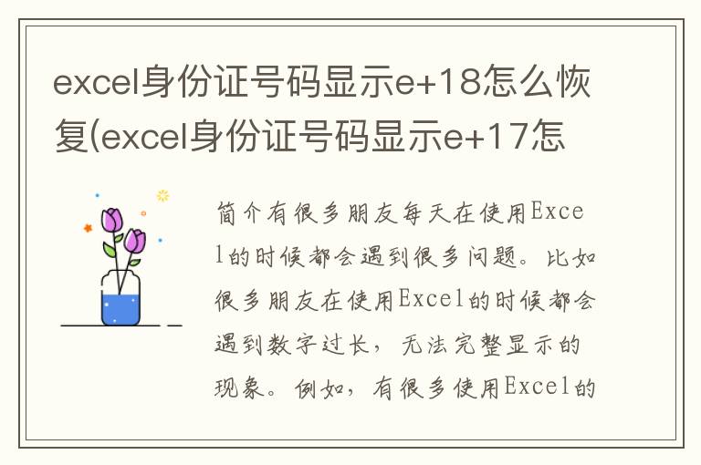 excel身份证号码显示e+18怎么恢复(excel身份证号码显示e+17怎么恢复原来)