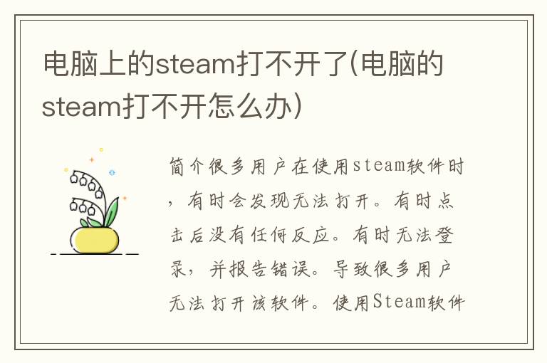 电脑上的steam打不开了(电脑的steam打不开怎么办)