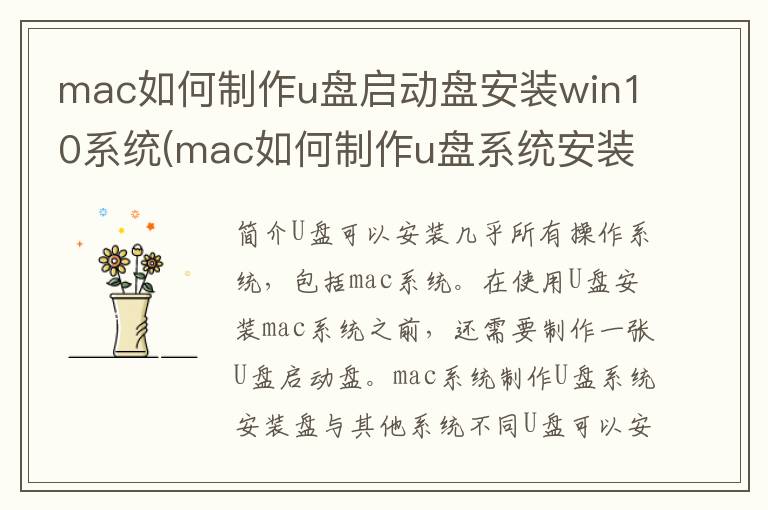 mac如何制作u盘启动盘安装win10系统(mac如何制作u盘系统安装盘)