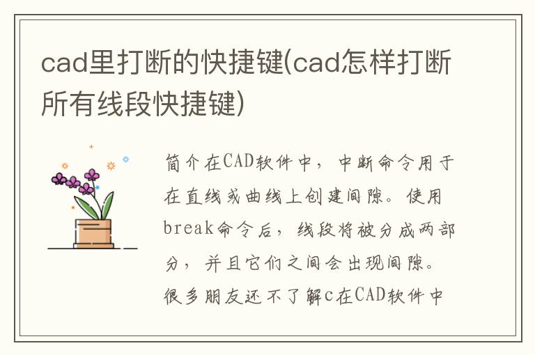 cad里打断的快捷键(cad怎样打断所有线段快捷键)