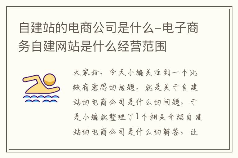 自建站的电商公司是什么-电子商务自建网站是什么经营范围