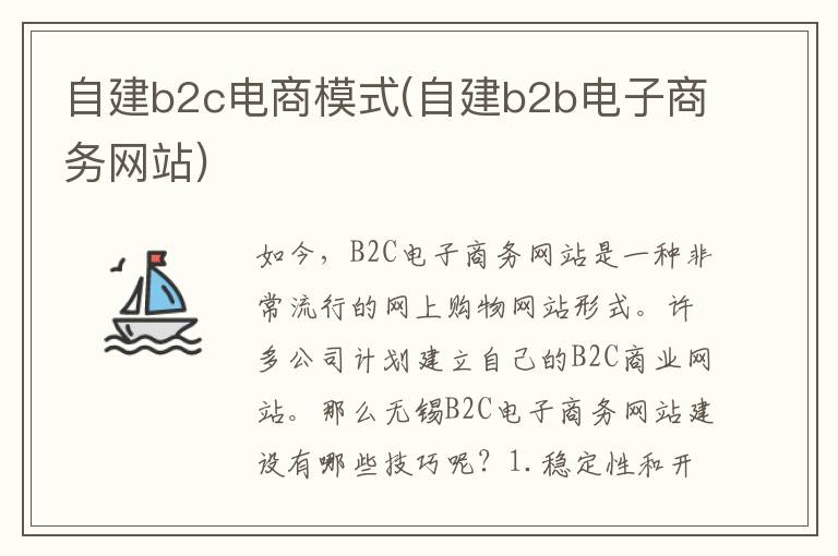 自建b2c电商模式(自建b2b电子商务网站)