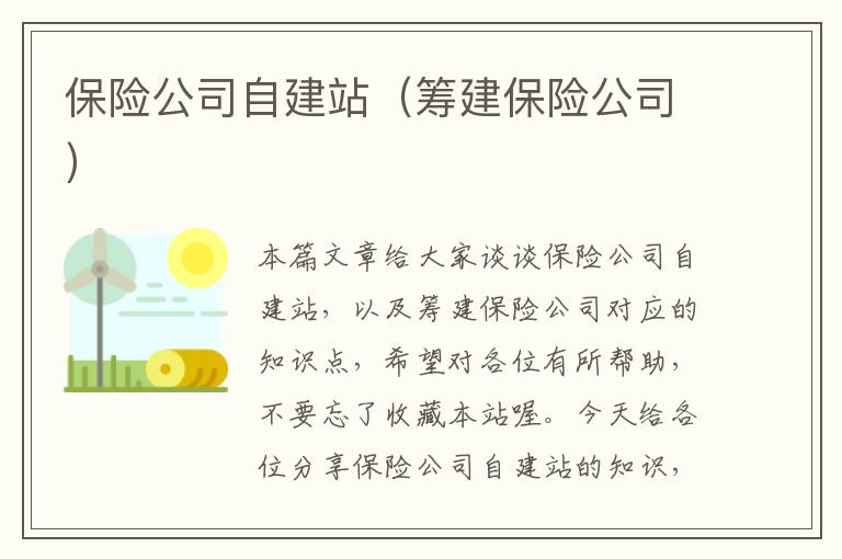 保险公司自建站（筹建保险公司）