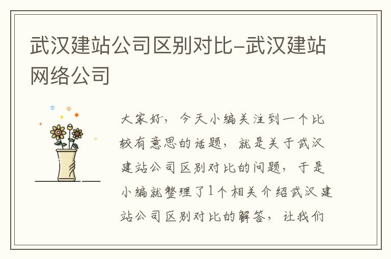 武汉建站公司区别对比-武汉建站网络公司