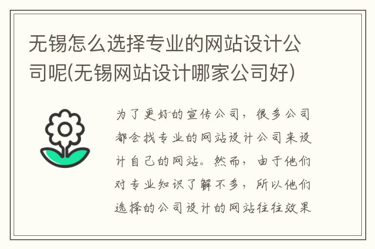 无锡怎么选择专业的网站设计公司呢(无锡网站设计哪家公司好)