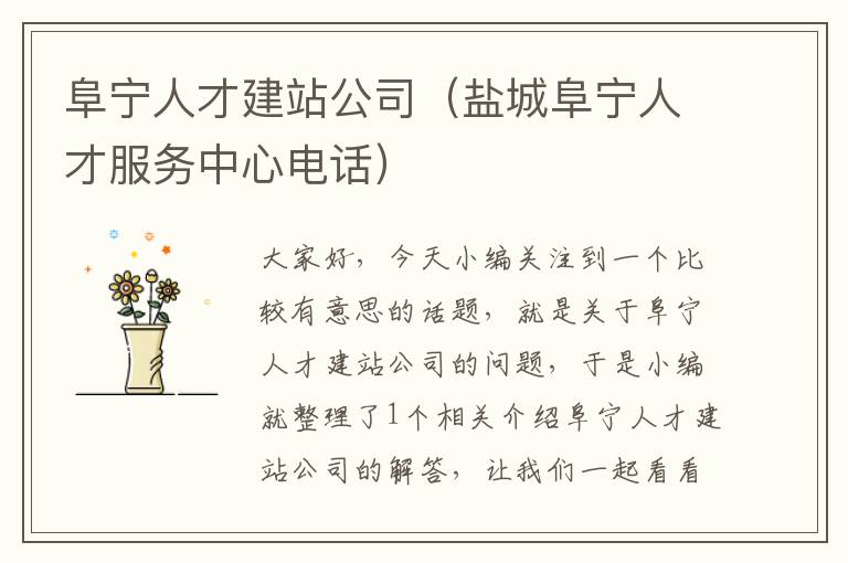 阜宁人才建站公司（盐城阜宁人才服务中心电话）