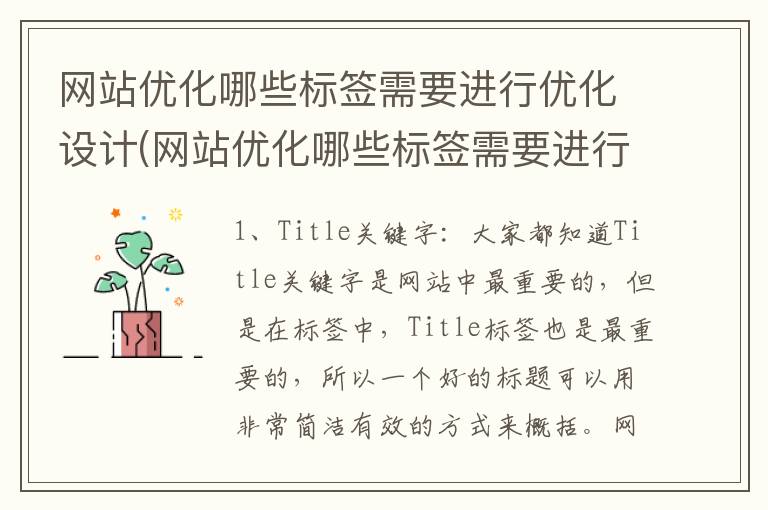 网站优化哪些标签需要进行优化设计(网站优化哪些标签需要进行优化操作)