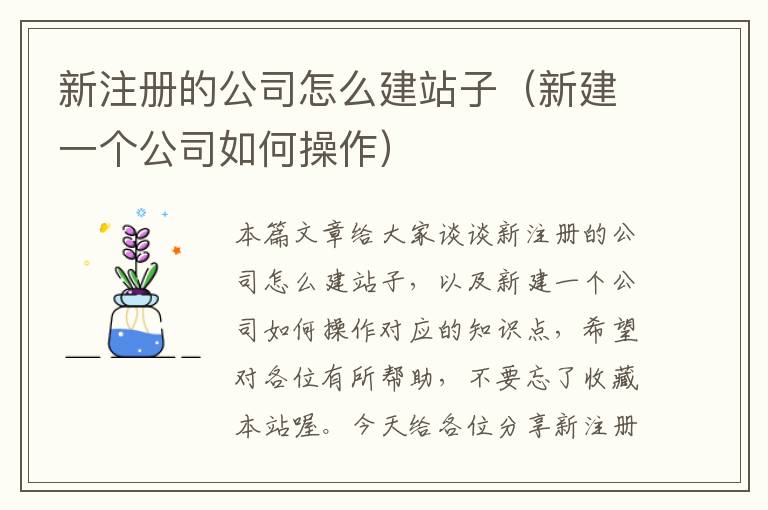 新注册的公司怎么建站子（新建一个公司如何操作）