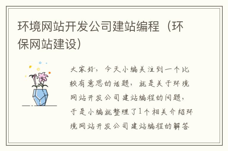 环境网站开发公司建站编程（环保网站建设）