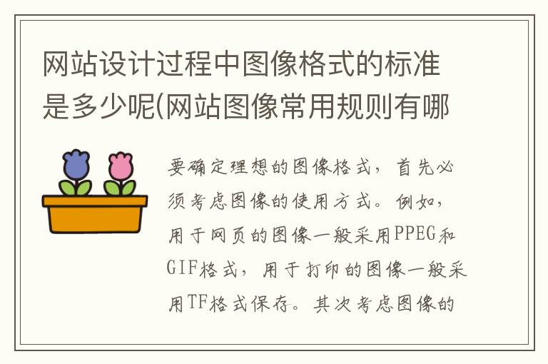 网站设计过程中图像格式的标准是多少呢(网站图像常用规则有哪些)