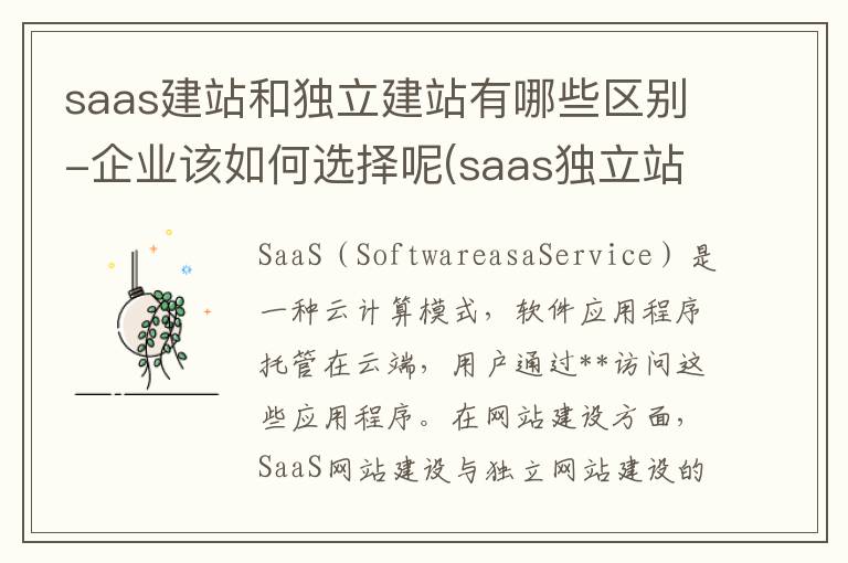 saas建站和独立建站有哪些区别-企业该如何选择呢(saas独立站平台)