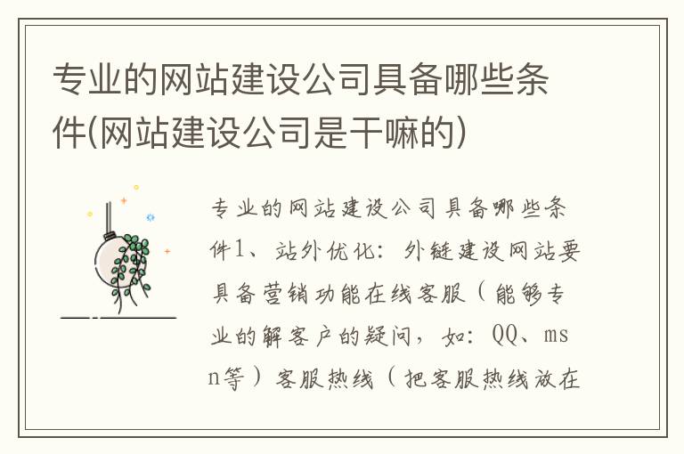 专业的网站建设公司具备哪些条件(网站建设公司是干嘛的)