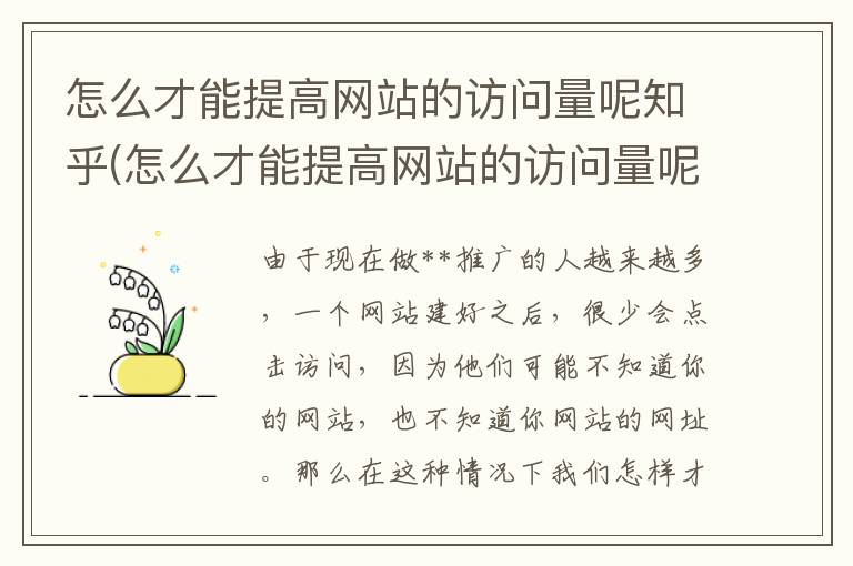 怎么才能提高网站的访问量呢知乎(怎么才能提高网站的访问量呢英语)