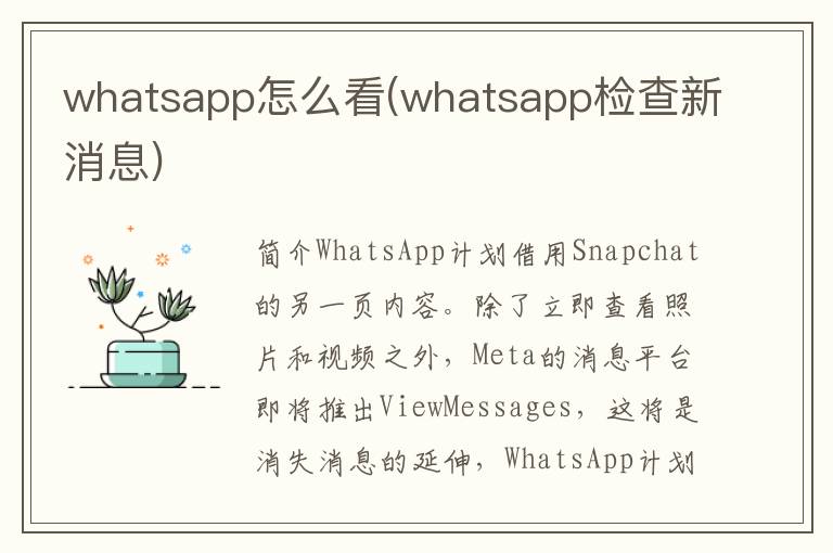 whatsapp怎么看(whatsapp检查新消息)