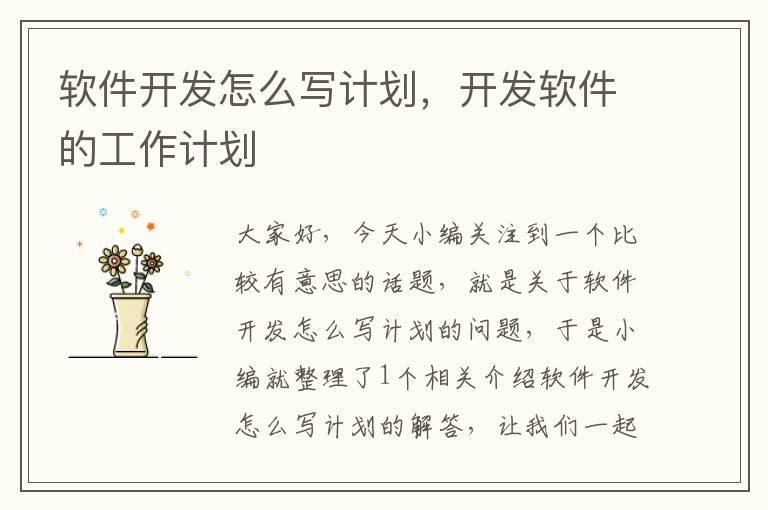 软件开发怎么写计划，开发软件的工作计划