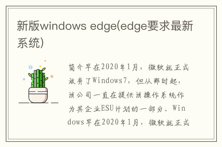 新版windows edge(edge要求最新系统)