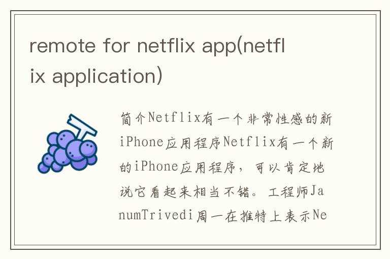 remote for netflix app(netflix application)