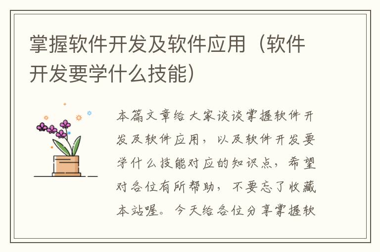 掌握软件开发及软件应用（软件开发要学什么技能）