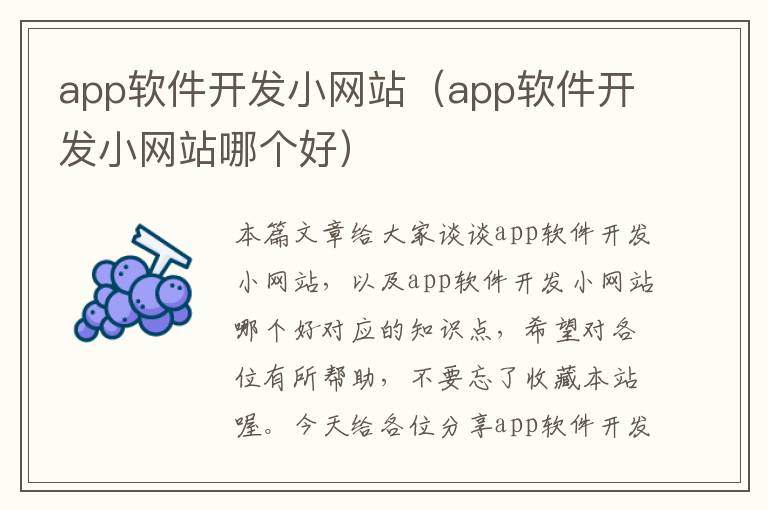 app软件开发小网站（app软件开发小网站哪个好）