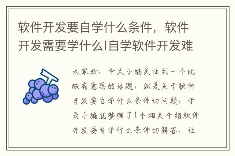 软件开发要自学什么条件，软件开发需要学什么!自学软件开发难吗