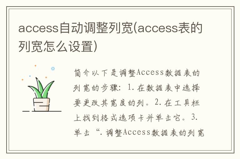 access自动调整列宽(access表的列宽怎么设置)