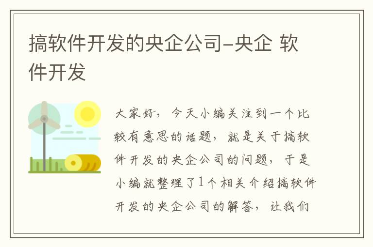 搞软件开发的央企公司-央企 软件开发