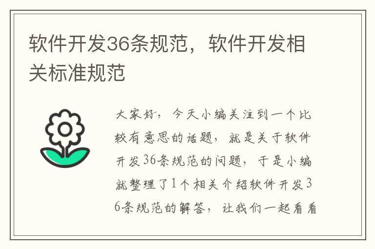 软件开发36条规范，软件开发相关标准规范