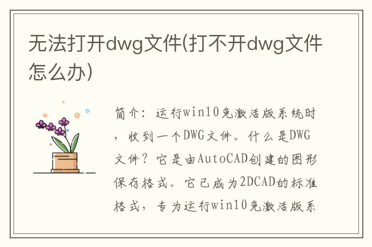 无法打开dwg文件(打不开dwg文件怎么办)