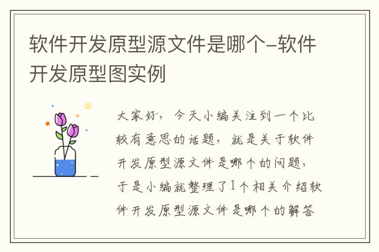 软件开发原型源文件是哪个-软件开发原型图实例